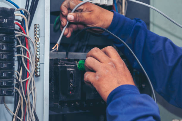 Best Electrician for Home Renovation  in Oblong, IL