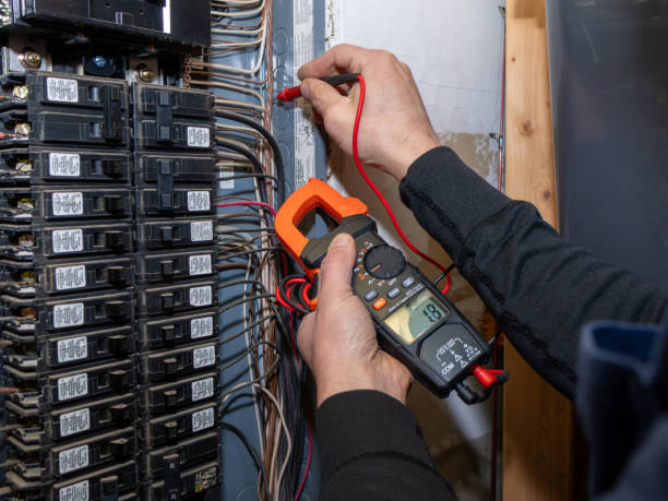 Best Electric Panel Repair  in Oblong, IL